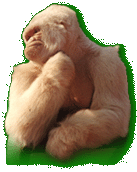 Floquet.gif (17561 bytes)